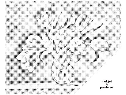 Tečkování - PIETER WAGEMANS - PŘEKRÁSNÉ RŮŽOVÉ TULIPÁNY