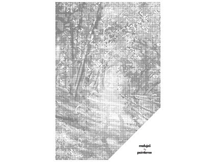 Tečkování - LESNÍ CESTOU PROZÁŘENOU SLUNCEM