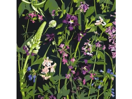 61769 3 painting by numbers yerr od yerr 0063 m11