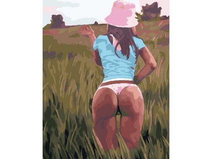 Malování podle čísel - KRÁSNÁ ŽENA NA LOUCE (Rozměr 60x80 cm, Rámování bez rámu a bez vypnutí plátna)