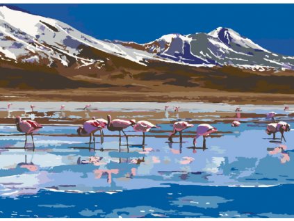 Malování podle čísel - JEZERO S PLAMEŇÁKY (Rozměr 60x80 cm, Rámování vypnuté plátno na rám)