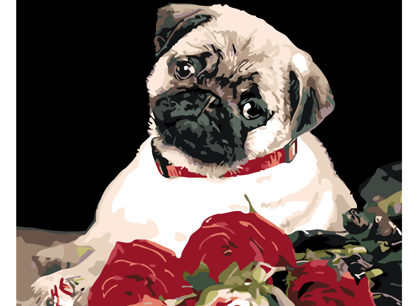 MALUJEŠ Malování podle čísel - MOPS Rozměr: 80x100 cm, Rámování: vypnuté plátno na rám