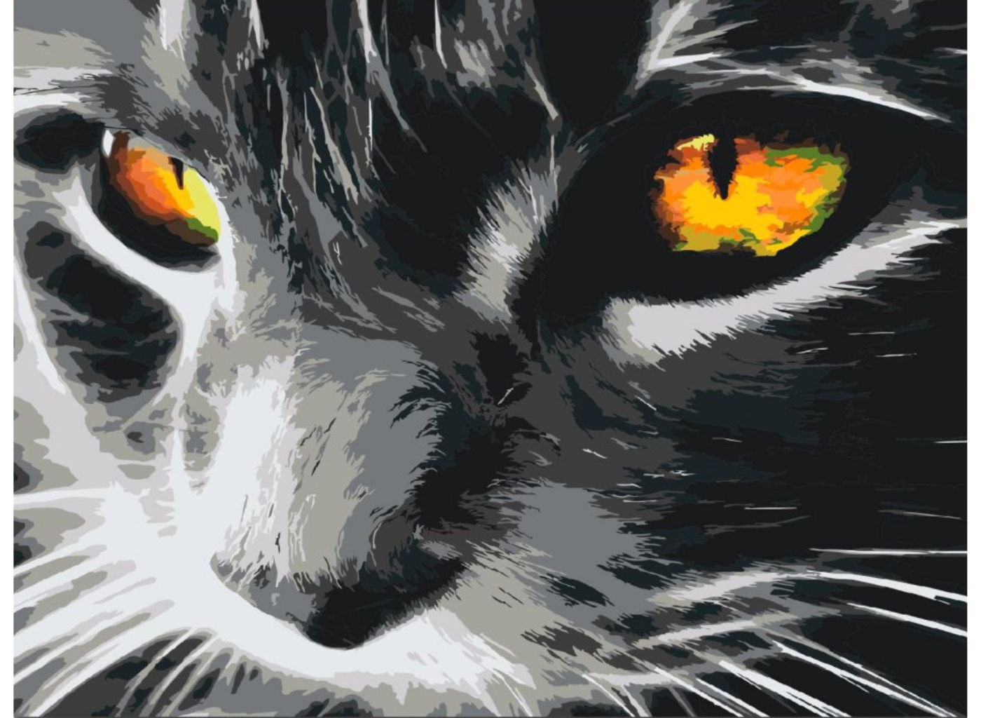 MALUJEŠ Malování podle čísel - ČERNÁ KOČKA A JASNÝ POHLED Rozměr: 80x100 cm, Rámování: bez rámu a bez vypnutí plátna
