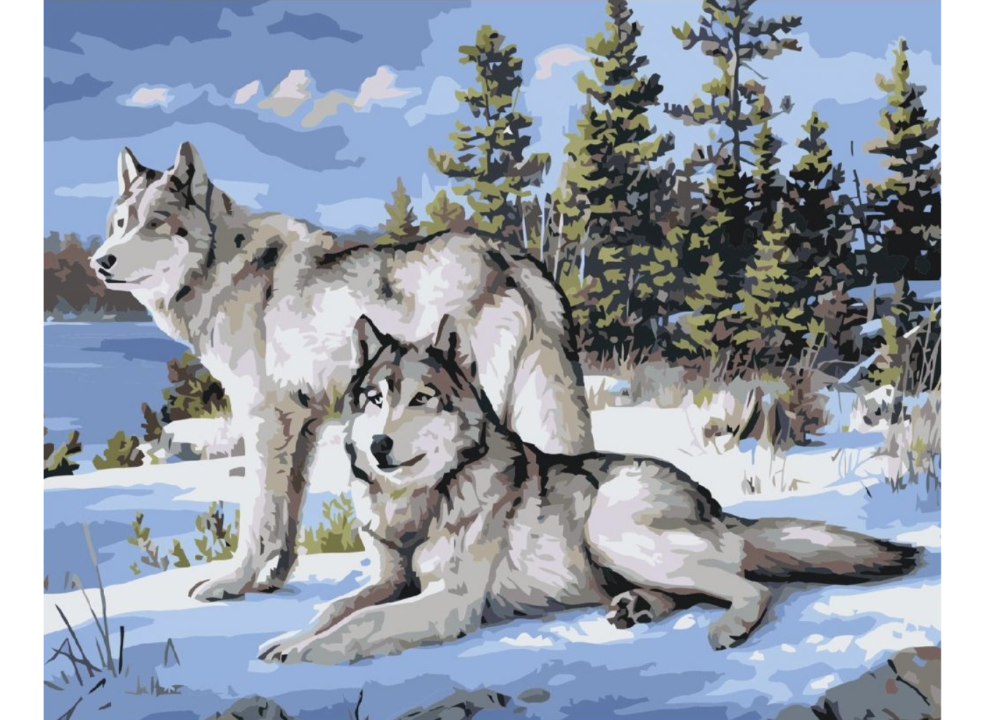 MALUJEŠ Malování podle čísel - VLCI II Rozměr: 40 x 50 cm, Rámování: vypnuté plátno na rám