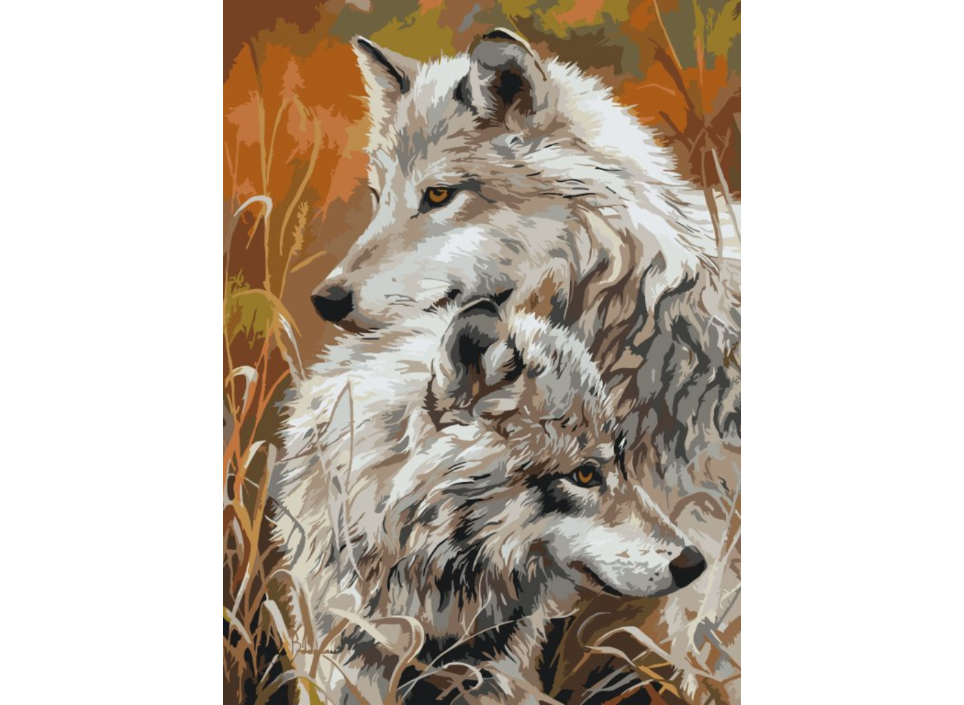 MALUJEŠ Malování podle čísel - ŠEDÍ VLCI Rozměr: 40x50 cm, Rámování: bez rámu a bez vypnutí plátna