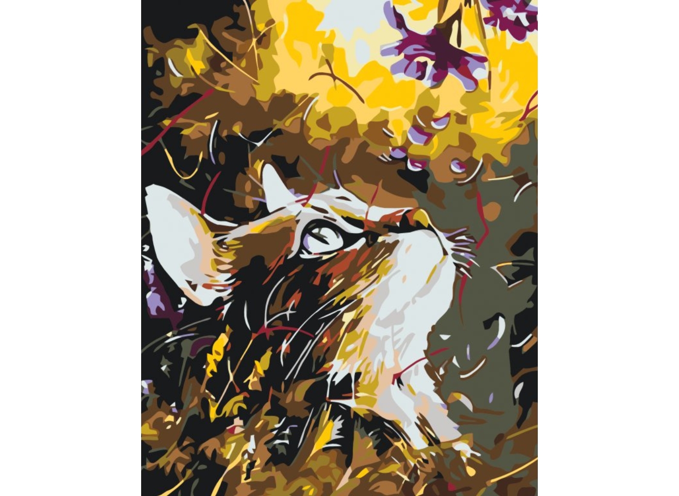 MALUJEŠ Malování podle čísel - KOČKA V LUČNÍM KVÍTÍ Rozměr: 60x80 cm, Rámování: vypnuté plátno na rám