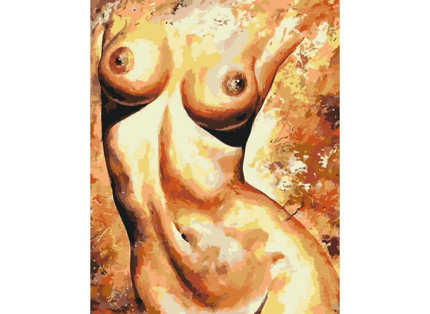 MALUJEŠ Malování podle čísel - NAHÉ TĚLO Rozměr: 80x100 cm, Rámování: bez rámu a bez vypnutí plátna