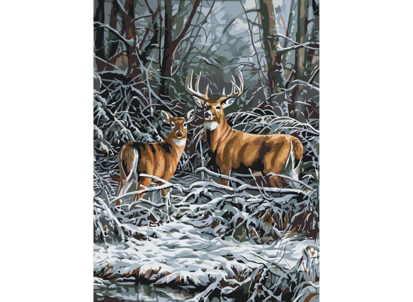 MALUJEŠ Malování podle čísel - JELEN S LANÍ V CHROŠTÍ Rozměr: 40x50 cm, Rámování: vypnuté plátno na rám