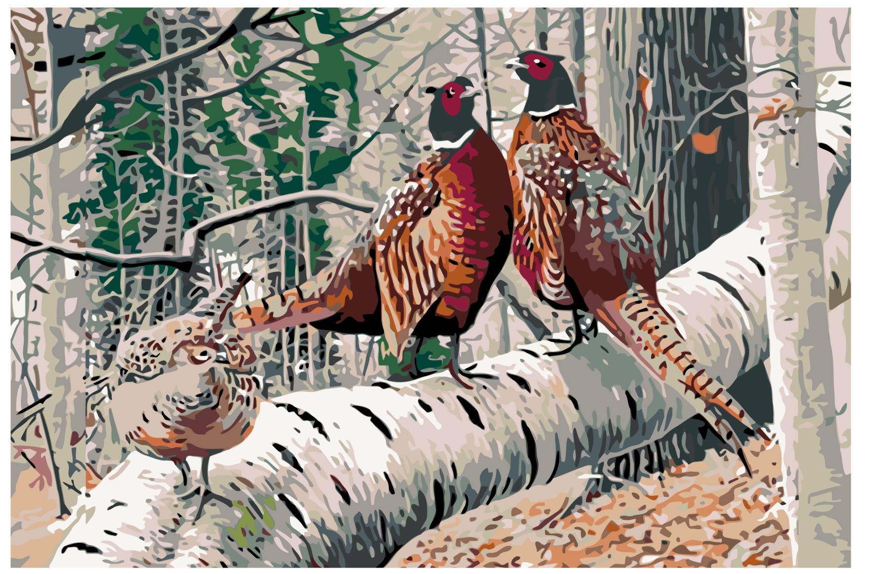 MALUJEŠ Malování podle čísel - BAŽANTI V LESE Rozměr: 40x60 cm, Rámování: vypnuté plátno na rám