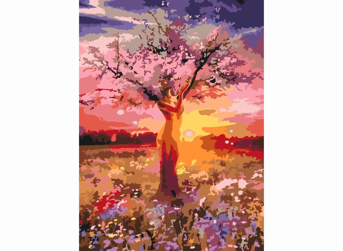MALUJEŠ Malování podle čísel - SVÍTÁNÍ Rozměr: 60 x 80 cm, Rámování: vypnuté plátno na rám