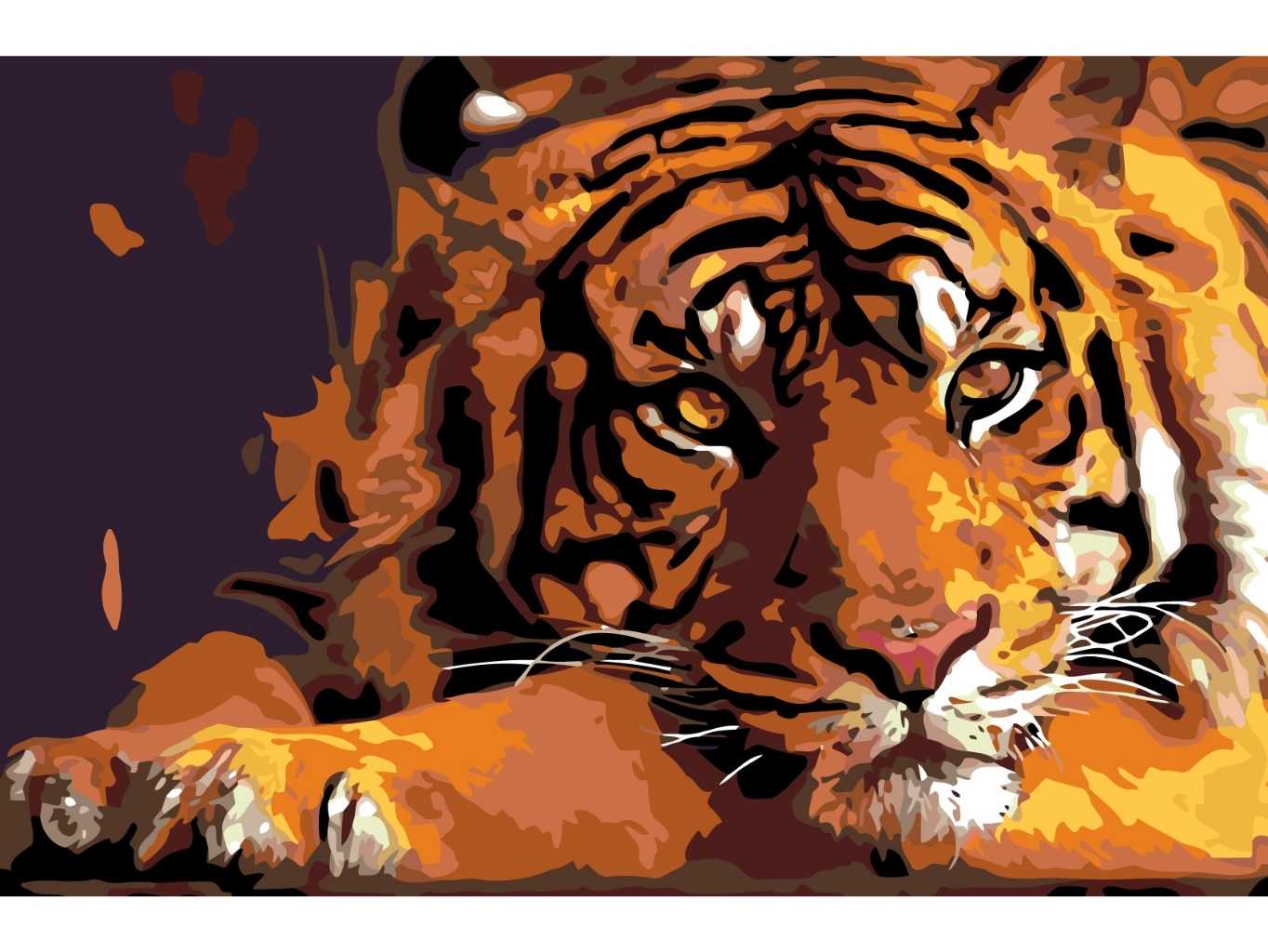 MALUJEŠ Malování podle čísel - KLIDNÝ TYGR Rozměr: 40x60 cm, Rámování: vypnuté plátno na rám