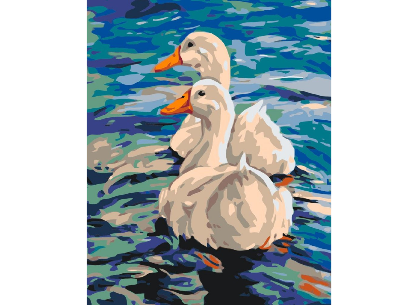MALUJEŠ Malování podle čísel - DVĚ HUSY NA VODĚ Rozměr: 30 x 40 cm, Rámování: bez rámu a bez vypnutí plátna