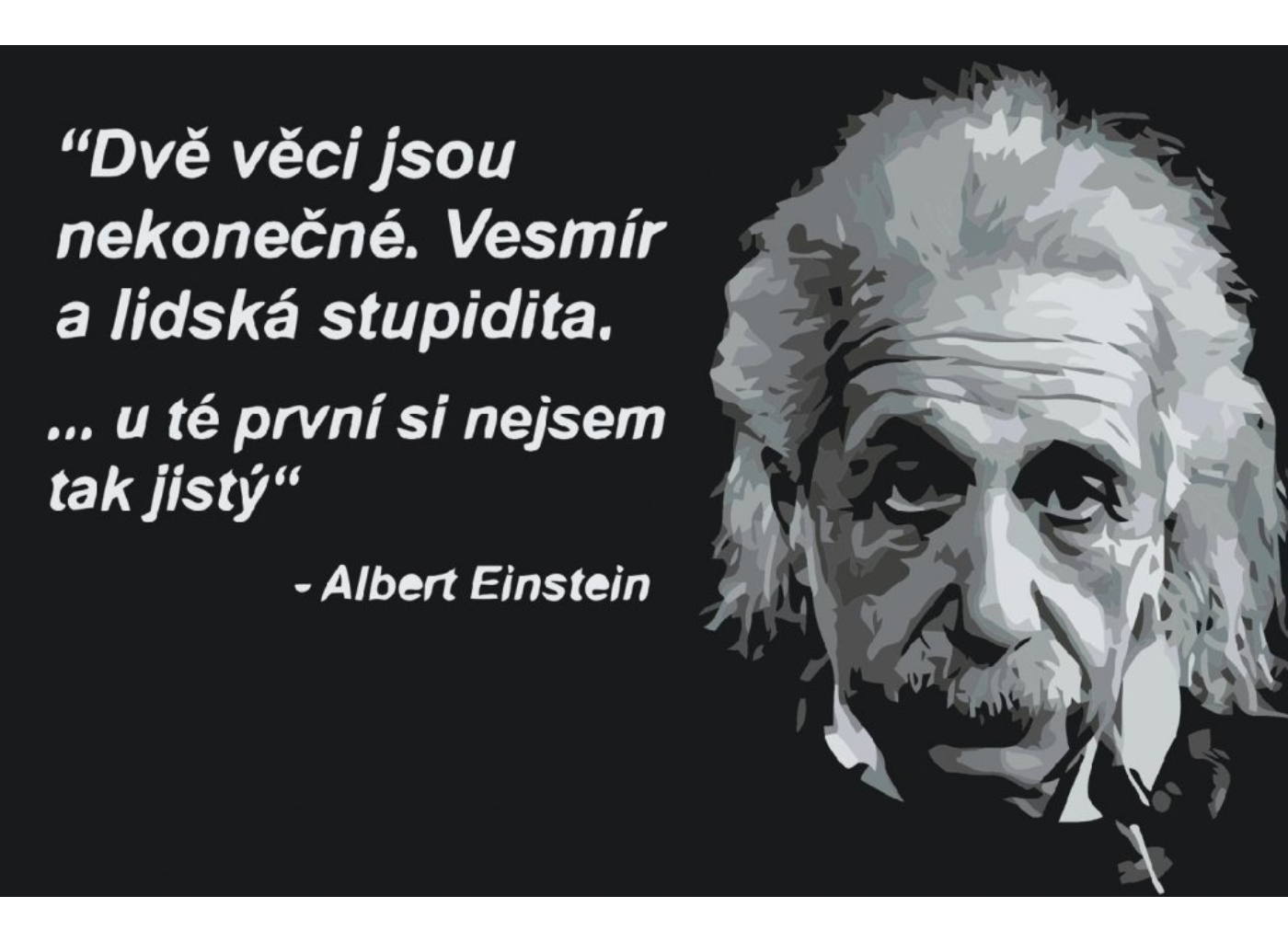MALUJEŠ Malování podle čísel - ALBERT EINSTEIN - česky Rozměr: 80 x 120 cm, Rámování: vypnuté plátno na rám