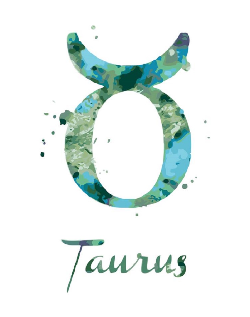 MALUJEŠ Malování podle čísel - TAURUS Rozměr: 30x40 cm, Rámování: bez rámu a bez vypnutí plátna