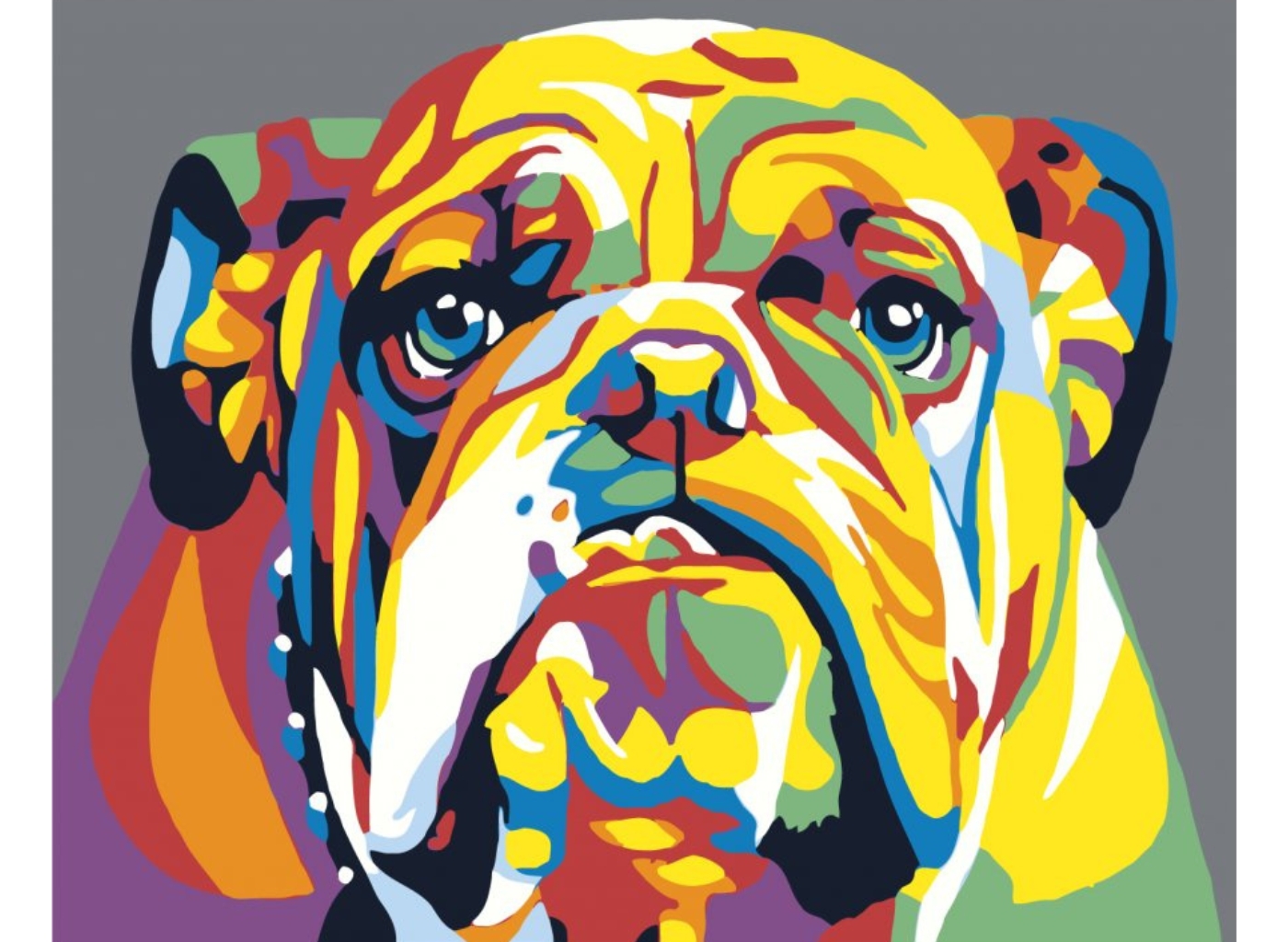 MALUJEŠ Malování podle čísel - BULDOG II Rozměr: 60x80 cm, Rámování: bez rámu a bez vypnutí plátna