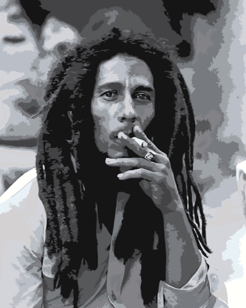 MALUJEŠ Malování podle čísel - KOUŘÍCÍ BOB MARLEY Rozměr: 30x40 cm, Rámování: bez rámu a bez vypnutí plátna