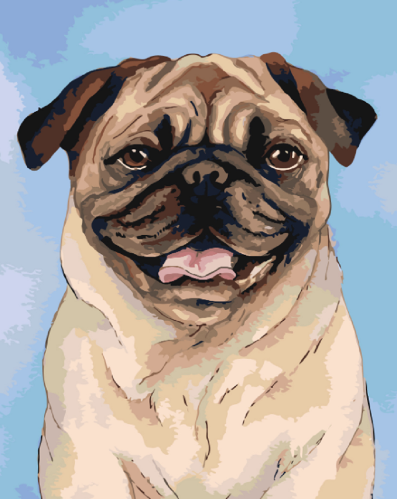 MALUJEŠ Malování podle čísel - HNĚDÝ MOPSÍK Rozměr: 30x40 cm, Rámování: bez rámu a bez vypnutí plátna