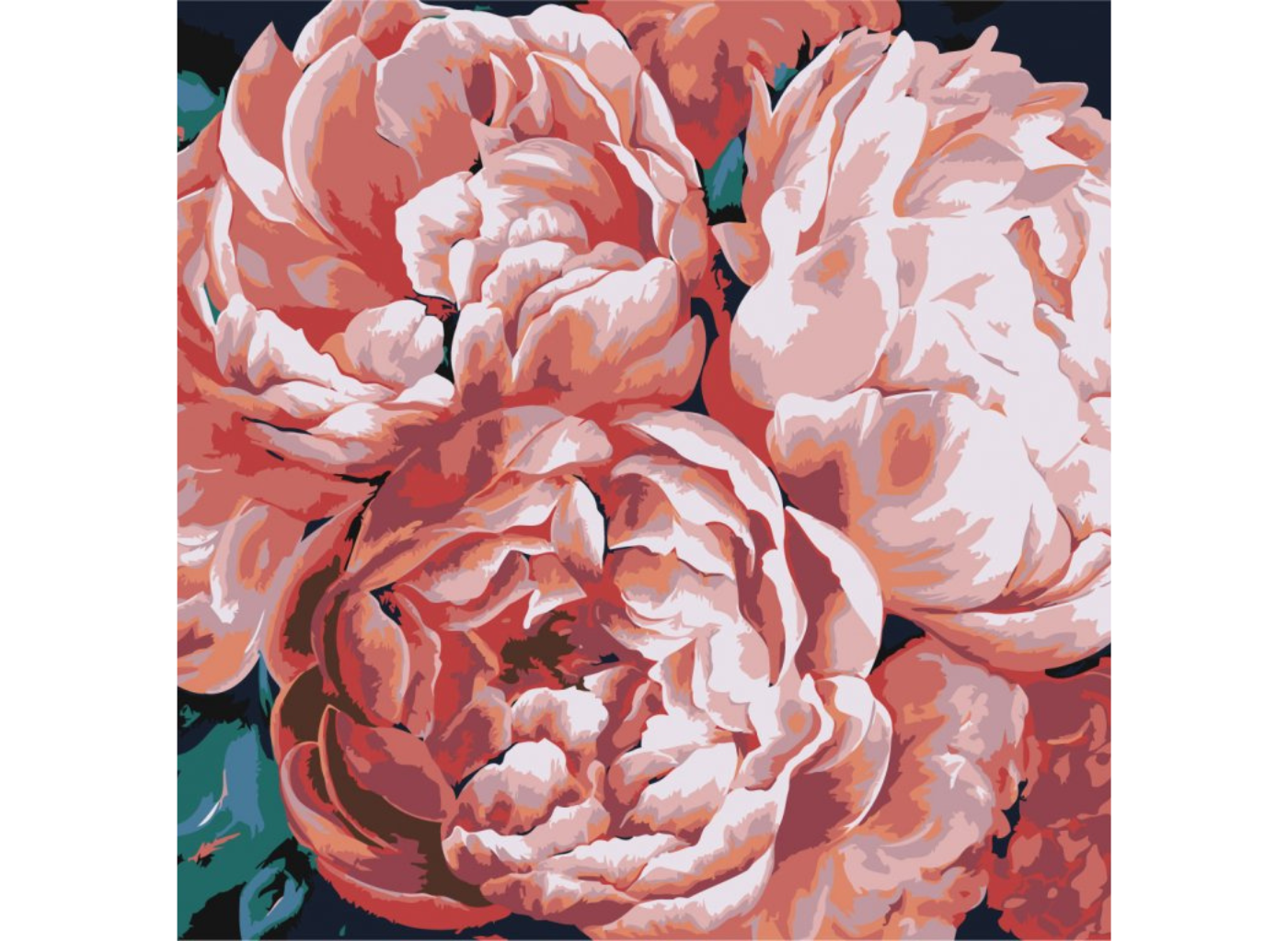 MALUJEŠ Malování podle čísel - PIVOŇKY VE SVĚTLE Rozměr: 50x50 cm, Rámování: vypnuté plátno na rám