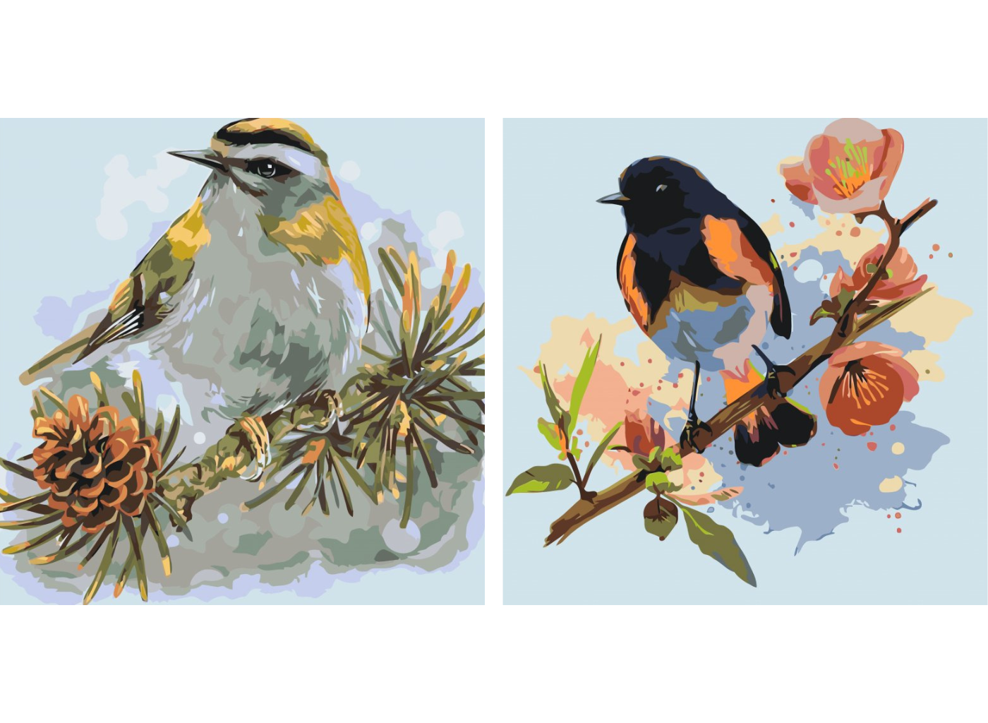 MALUJEŠ Malování podle čísel - SET PTÁČCI Rozměr: 80x80 cm, Rámování: bez rámu a bez vypnutí plátna