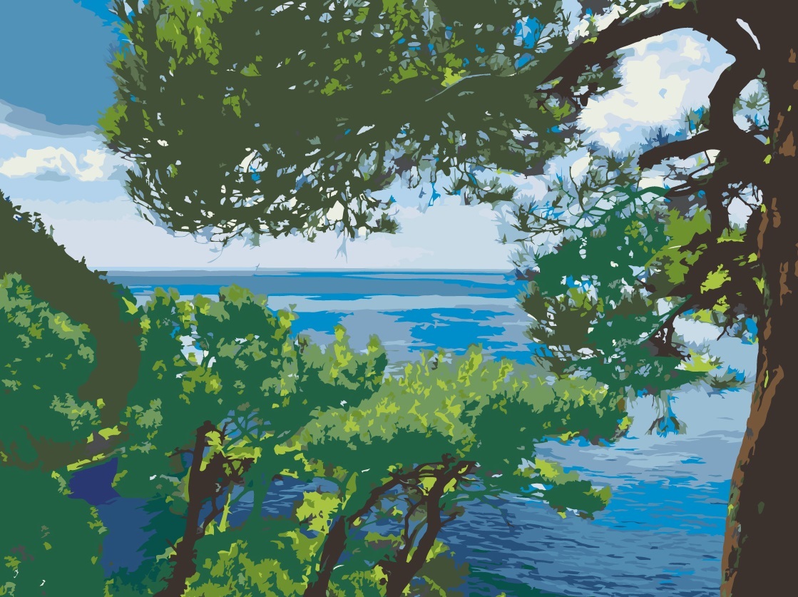 MALUJEŠ Malování podle čísel - POHLED NA MOŘE SKRZ STROMY Rozměr: 40x50 cm, Rámování: vypnuté plátno na rám