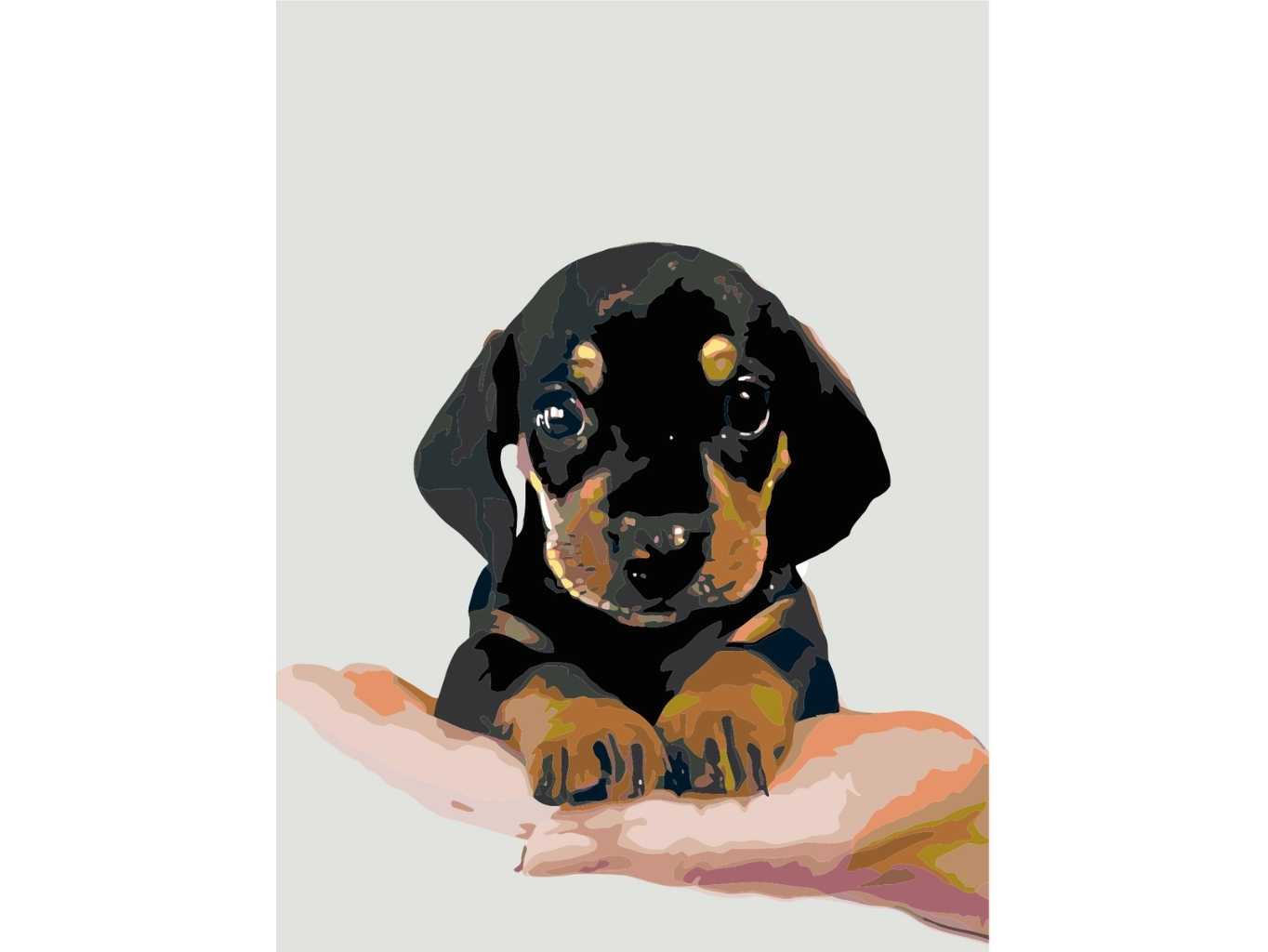 MALUJEŠ Malování podle čísel - ŠTĚNĚ KRÁTKOSRSTÉHO JEZEVČÍKA Rozměr: 60x80 cm, Rámování: vypnuté plátno na rám