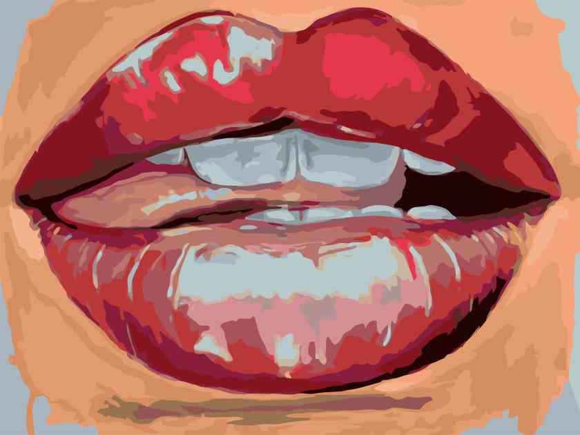 MALUJEŠ Malování podle čísel - SVŮDNÉ RTY Rozměr: 80x100 cm, Rámování: bez rámu a bez vypnutí plátna