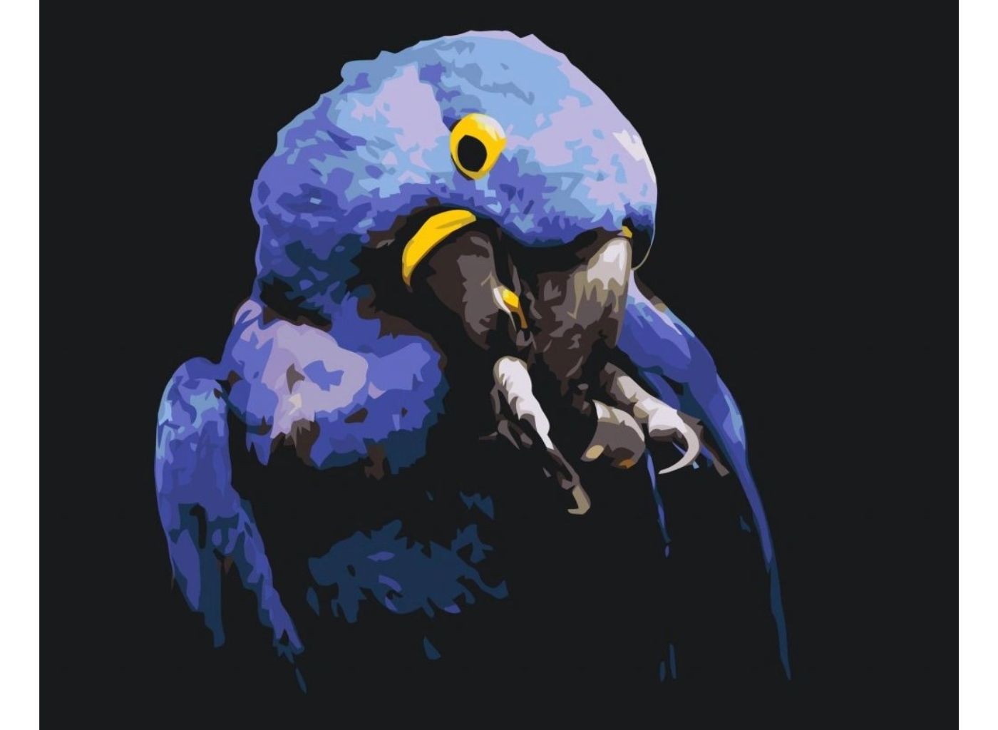 MALUJEŠ Malování podle čísel - OBRAZY OD ELISE - MODRÝ ARA Rozměr: 80 x 100 cm, Rámování: vypnuté plátno na rám