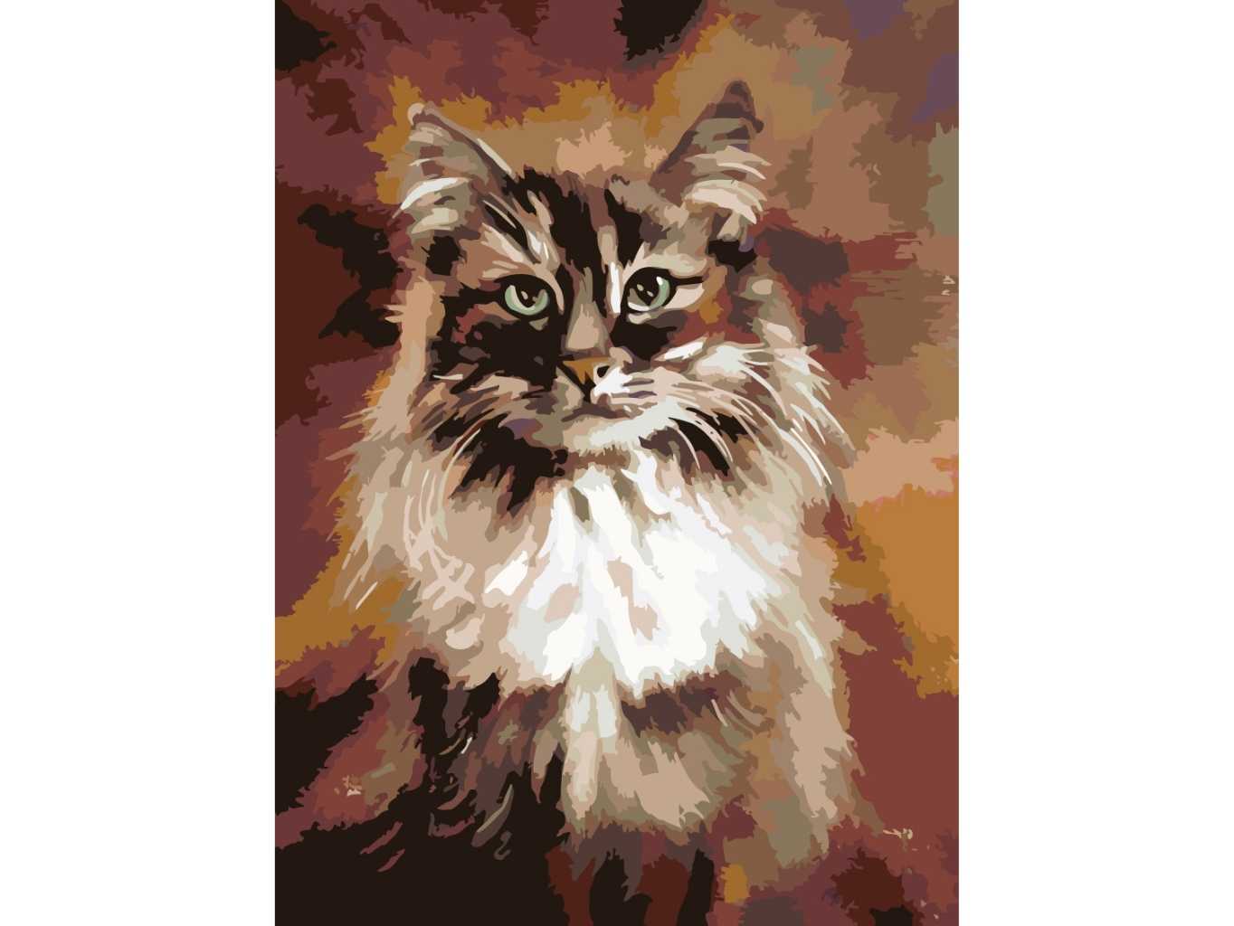 MALUJEŠ Malování podle čísel - MAINSKÁ KOČKA Rozměr: 60x80 cm, Rámování: vypnuté plátno na rám