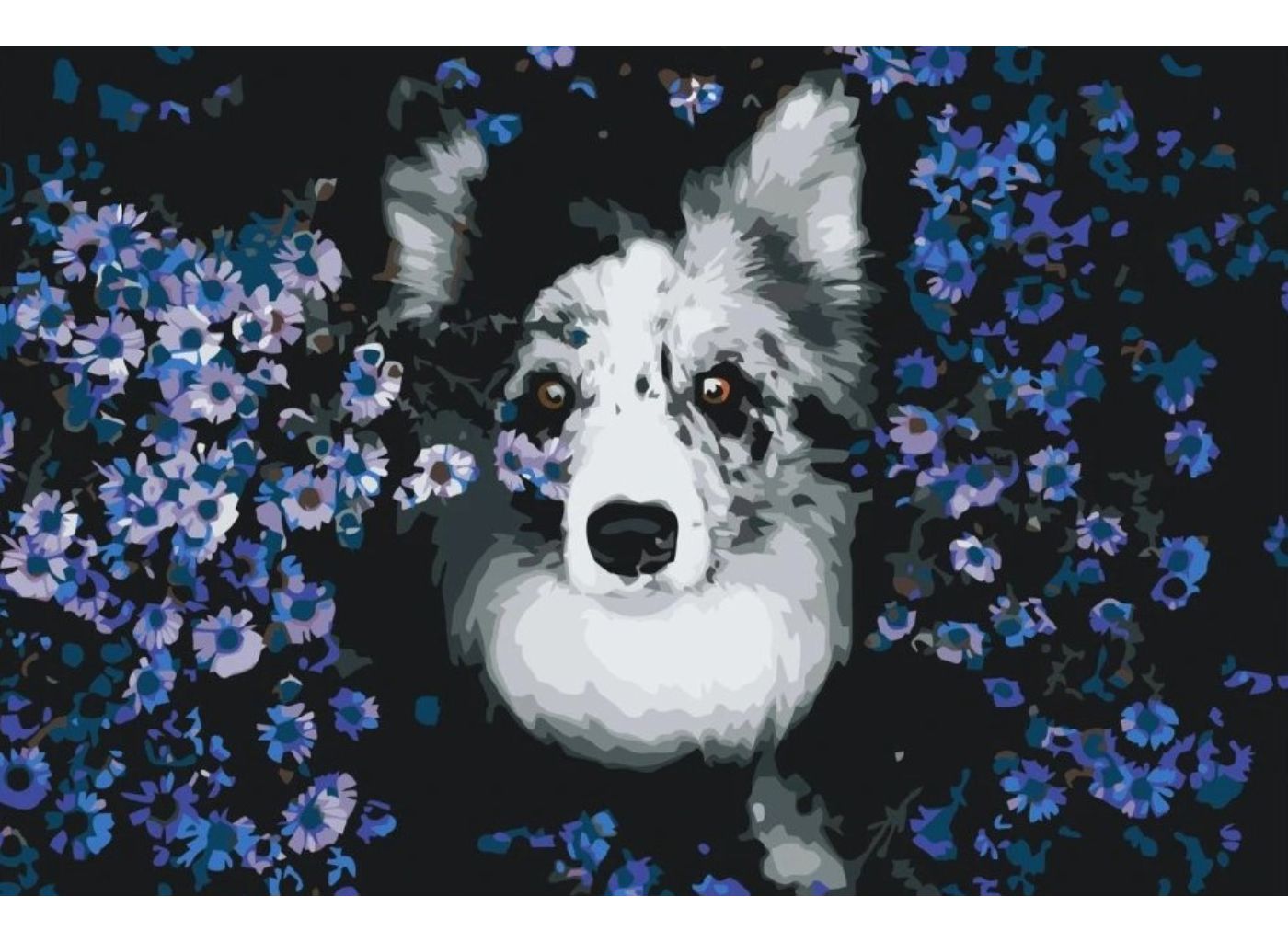 MALUJEŠ Malování podle čísel - KOLIE V KVĚTINÁCH Rozměr: 60 x 80 cm, Rámování: bez rámu a bez vypnutí plátna