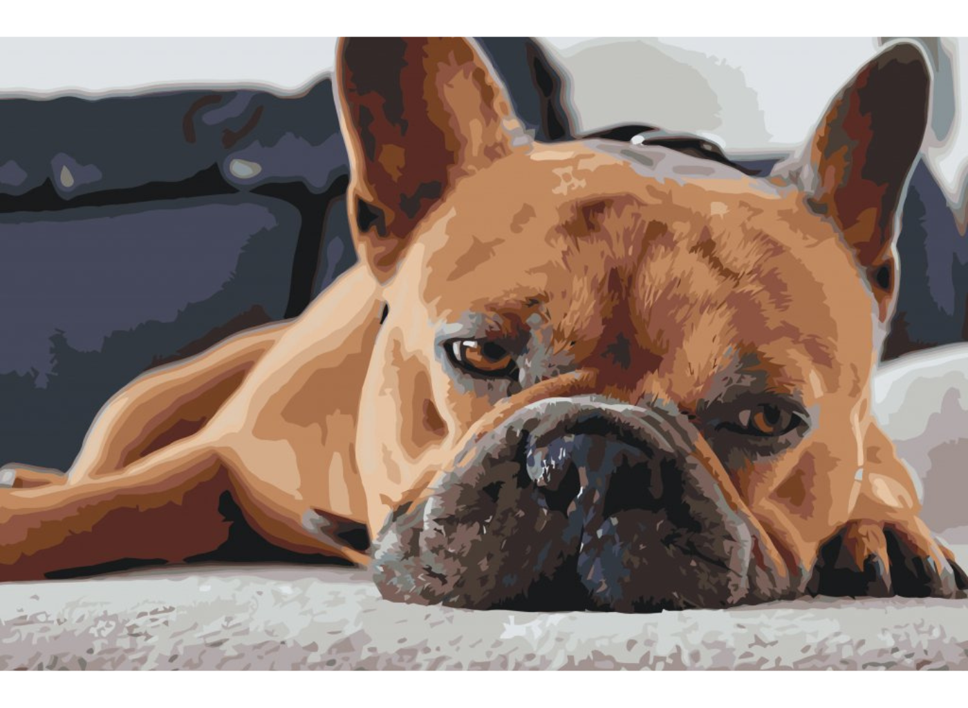 MALUJEŠ Malování podle čísel - ZNUDĚNÝ BULDOČEK Rozměr: 60x80 cm, Rámování: vypnuté plátno na rám