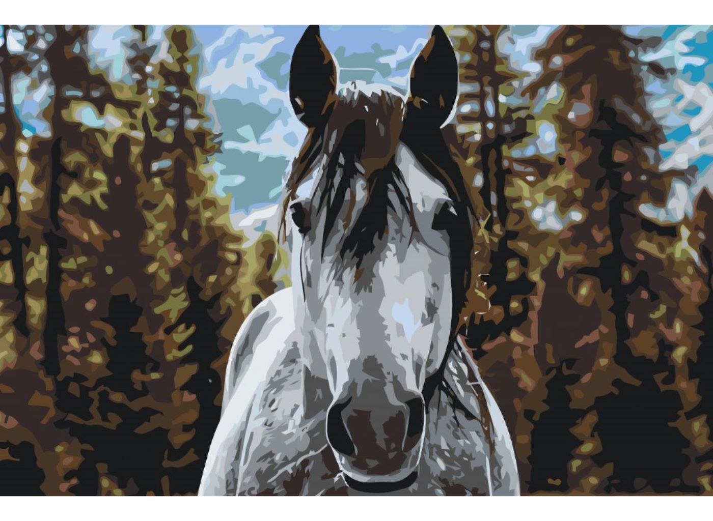MALUJEŠ Malování podle čísel - HORSKÝ KŮŇ Rozměr: 60 x 80 cm, Rámování: bez rámu a bez vypnutí plátna