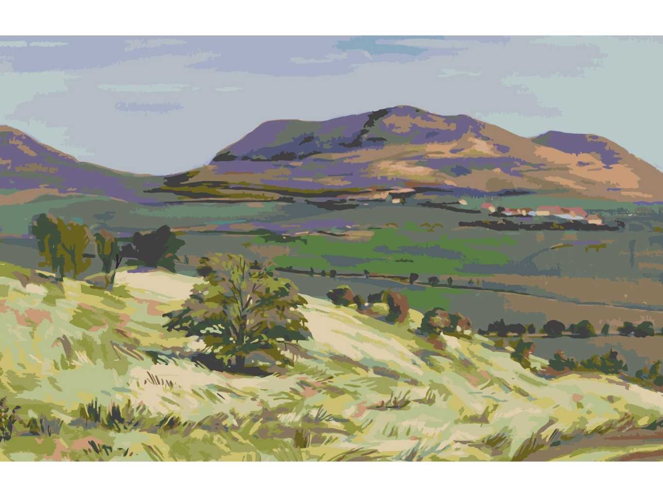 MALUJEŠ Malování podle čísel - OBRAZY OD JANY - RANÁ Rozměr: 40x60 cm, Rámování: bez rámu a bez vypnutí plátna