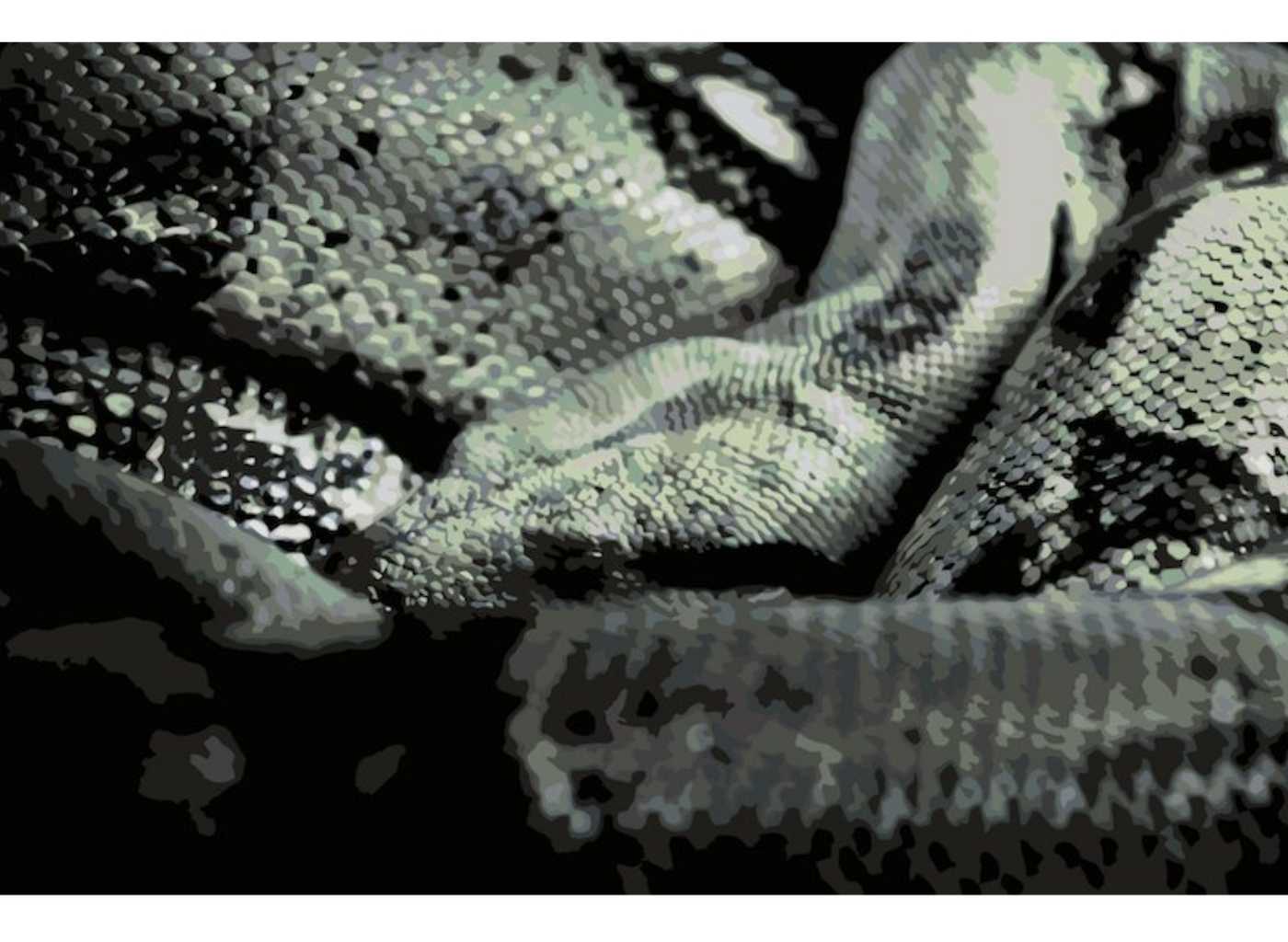 MALUJEŠ Malování podle čísel - OBRAZY OD ELISE - SPÍCÍ HROZNÝŠ Rozměr: 40x60 cm, Rámování: vypnuté plátno na rám