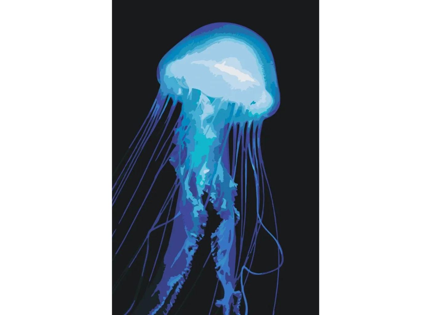 MALUJEŠ Malování podle čísel - MEDUSA Rozměr: 40 x 60 cm, Rámování: bez rámu a bez vypnutí plátna