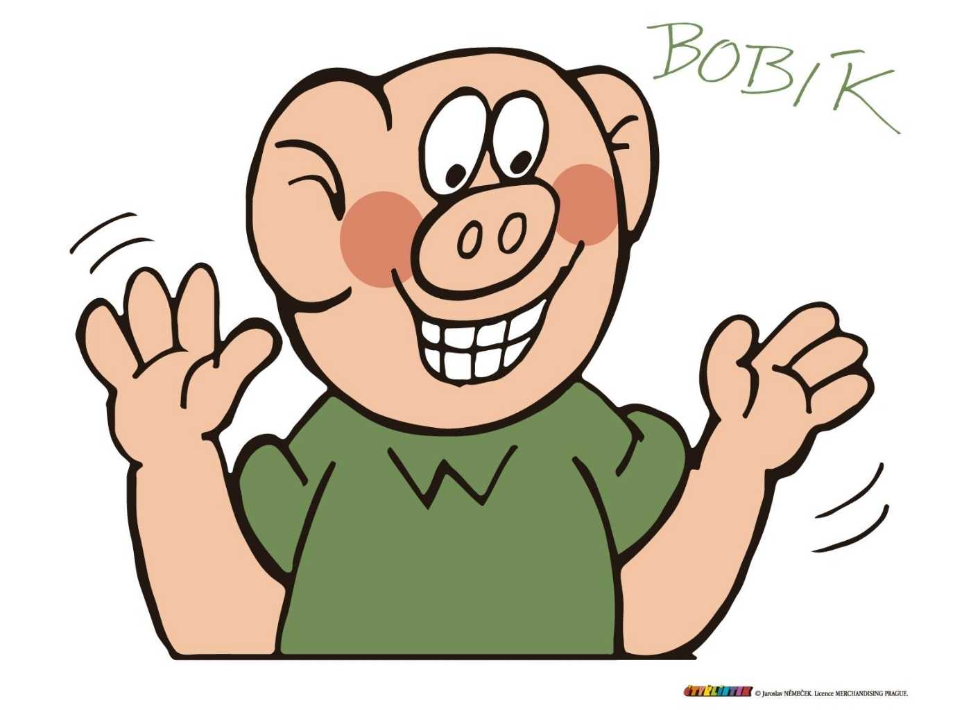 MALUJEŠ Malování podle čísel - ČTYŘLÍSTEK - ŠŤASTNÝ BOBÍK Rozměr: 60x80 cm, Rámování: bez rámu a bez vypnutí plátna