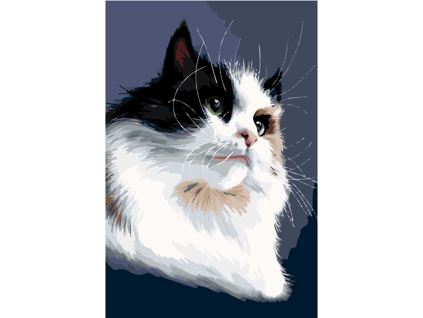 MALUJEŠ Malování podle čísel - AGNIESZKA MLECZEK - TŘÍBAREVNÁ KOČKA Rozměr: 60x80 cm, Rámování: vypnuté plátno na rám