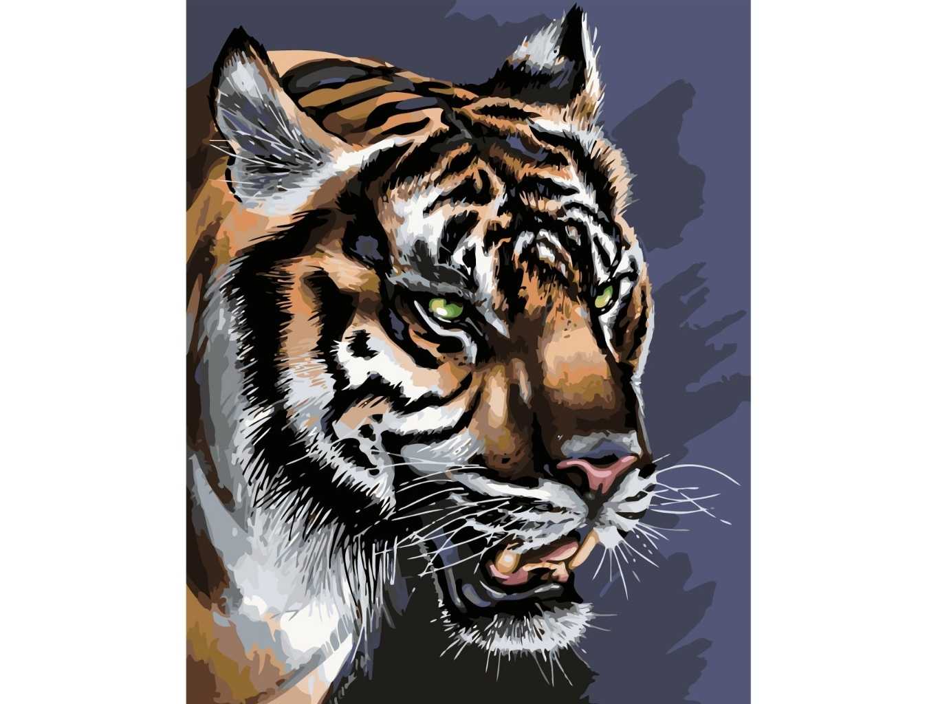 MALUJEŠ Malování podle čísel - AGNIESZKA MLECZEK - HLADOVÝ POHLED TYGRA Rozměr: 30x40 cm, Rámování: bez rámu a bez vypnutí plátna