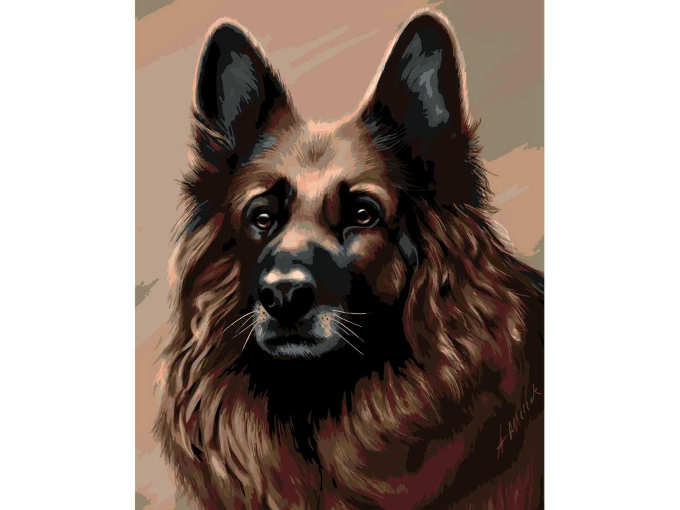 MALUJEŠ Malování podle čísel - AGNIESZKA MLECZEK - DLOUHOSRSTÝ NĚMECKÝ OVČÁK Rozměr: 30x40 cm, Rámování: bez rámu a bez vypnutí plátna
