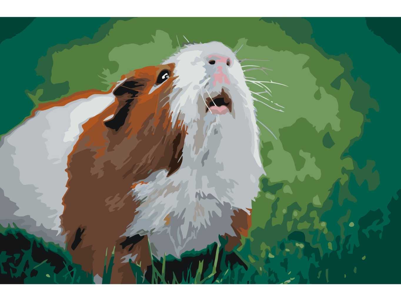 MALUJEŠ Malování podle čísel - DVOUBAREVNÉ MORČÁTKO Rozměr: 60x80 cm, Rámování: vypnuté plátno na rám