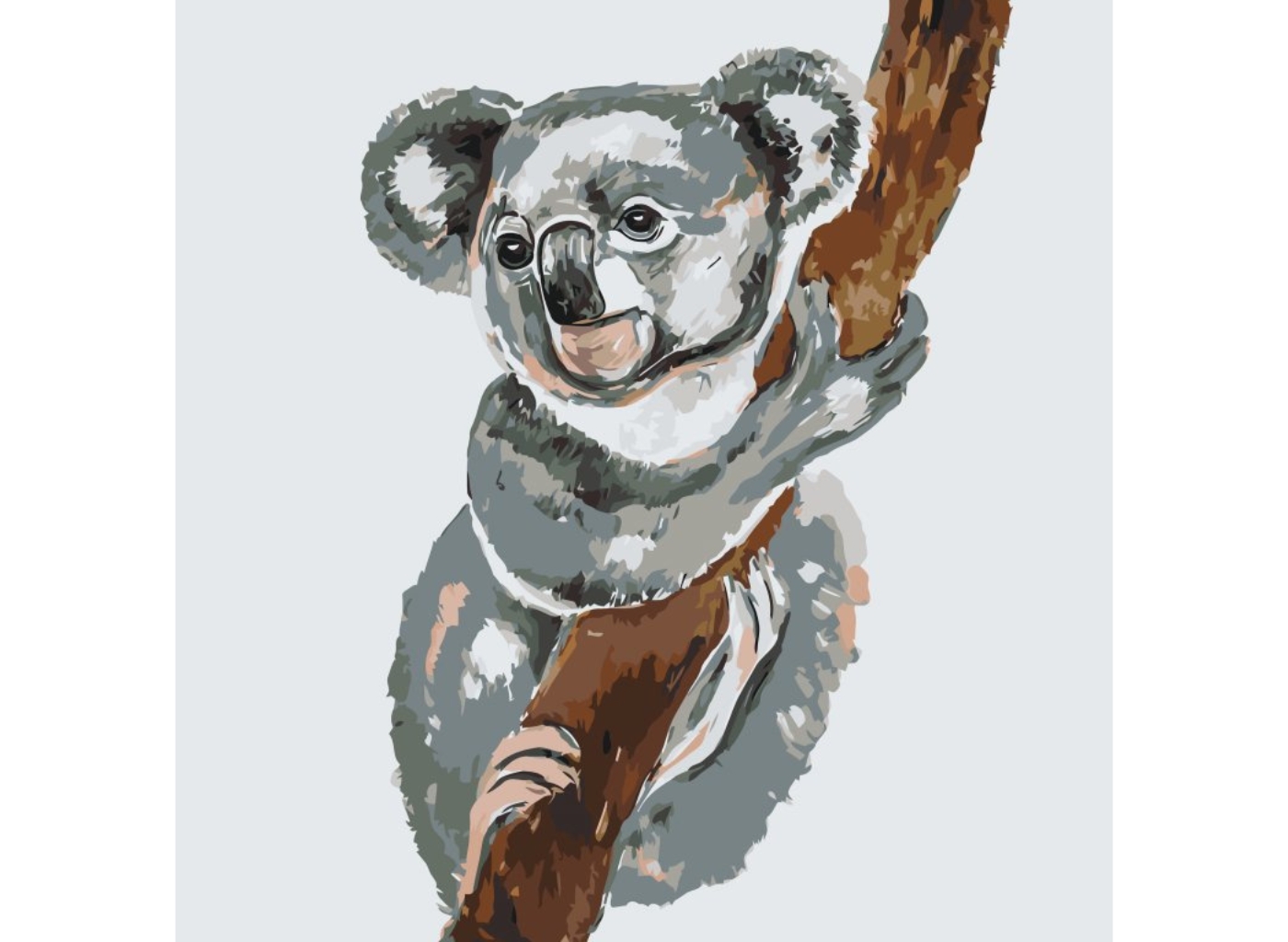 MALUJEŠ Malování podle čísel - OBRAZY OD LENKY - KOALA Rozměr: 80x80 cm, Rámování: bez rámu a bez vypnutí plátna