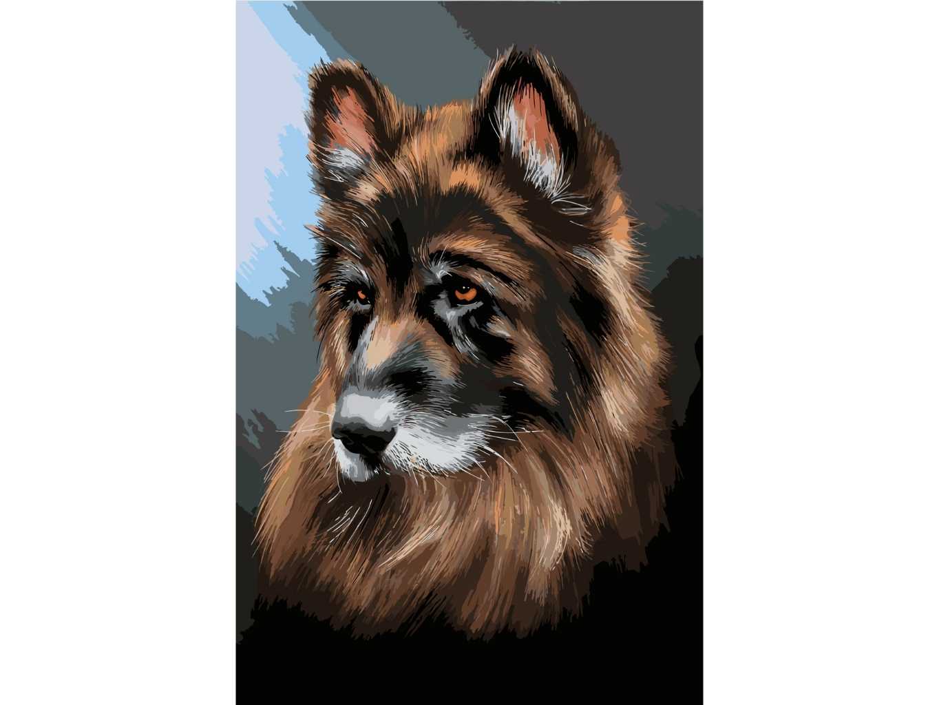 MALUJEŠ Malování podle čísel - AGNIESZKA MLECZEK - STARŠÍ NĚMECKÝ DLOUHOSRSTÝ OVČÁK Rozměr: 60x80 cm, Rámování: bez rámu a bez vypnutí plátna
