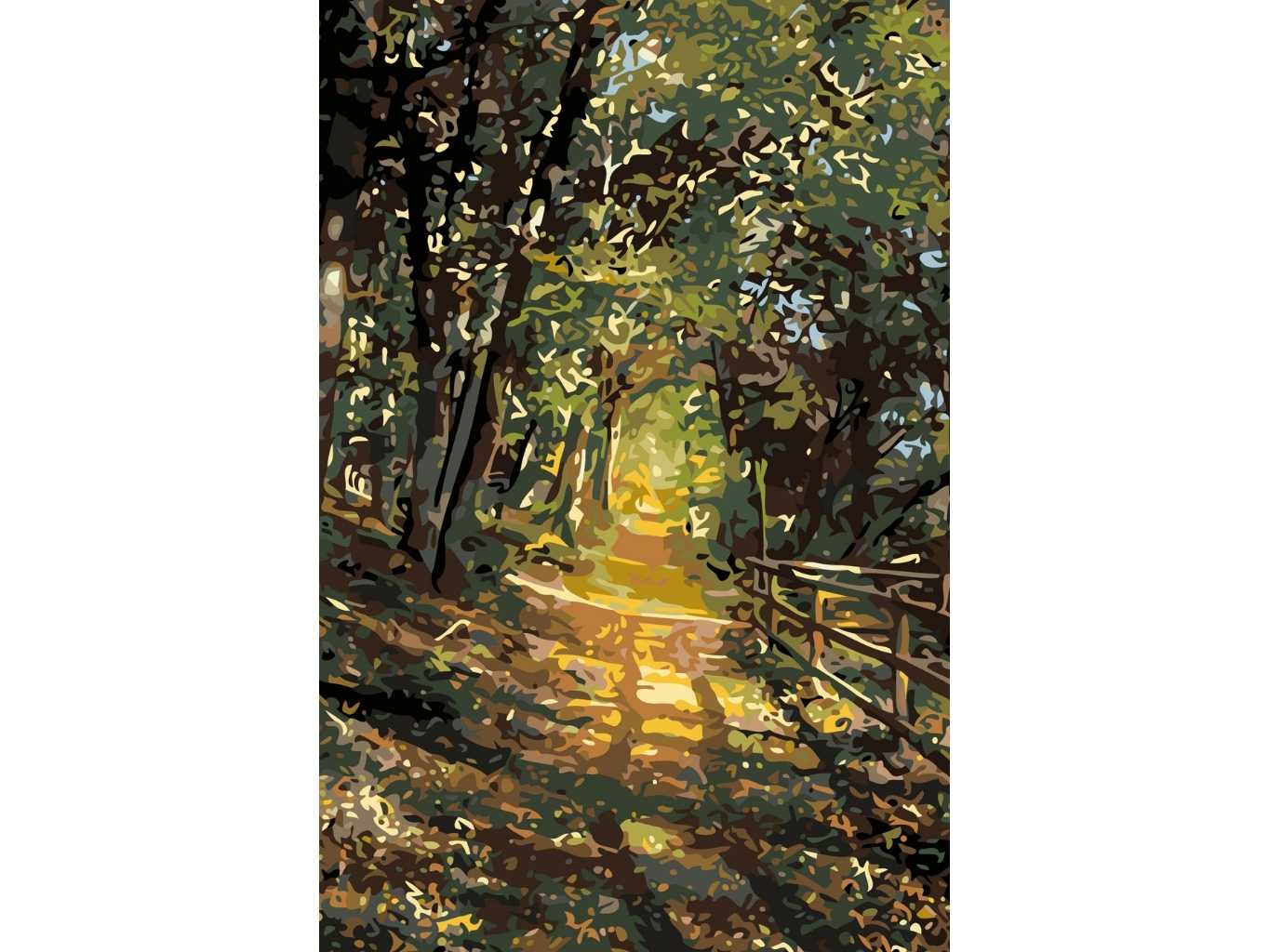 MALUJEŠ Malování podle čísel - LESNÍ CESTOU PROZÁŘENOU SLUNCEM Rozměr: 60x80 cm, Rámování: vypnuté plátno na rám