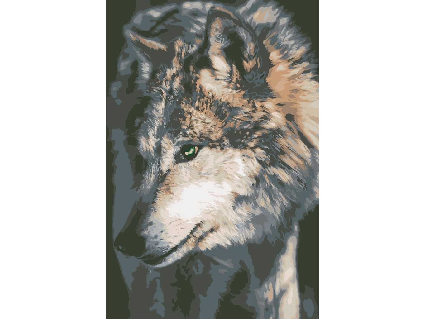 MALUJEŠ Malování podle čísel - ZAHLEDĚNÝ VLK Rozměr: 40x60 cm, Rámování: bez rámu a bez vypnutí plátna