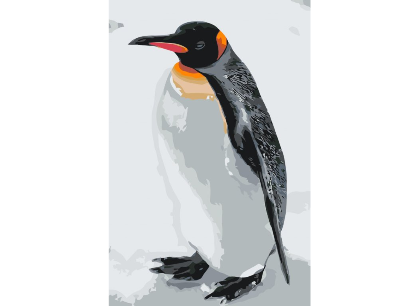 MALUJEŠ Malování podle čísel - TUČŇÁK Rozměr: 40x60 cm, Rámování: bez rámu a bez vypnutí plátna