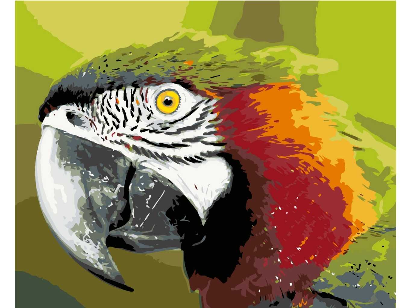 MALUJEŠ Malování podle čísel - JASNÉ OKO PAPOUŠKA Rozměr: 80x100 cm, Rámování: bez rámu a bez vypnutí plátna