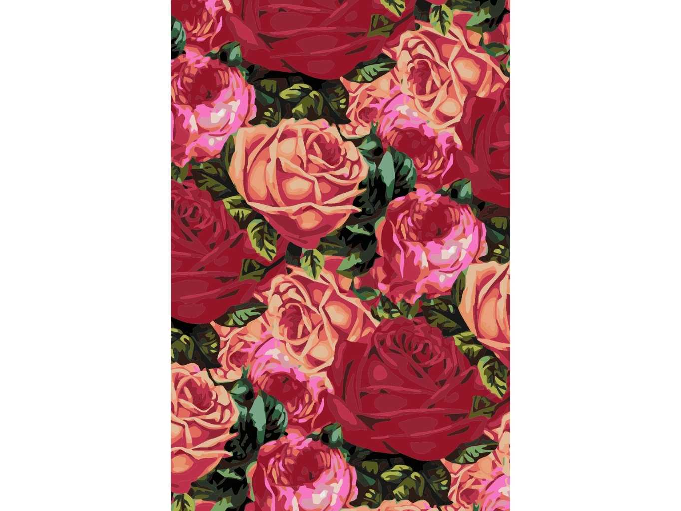 MALUJEŠ Malování podle čísel - ČERVENÉ A RŮŽOVÉ RŮŽE - AH DESIGN / IBD LICENSING UK Rozměr: 40x60 cm, Rámování: bez rámu a bez vypnutí plátna