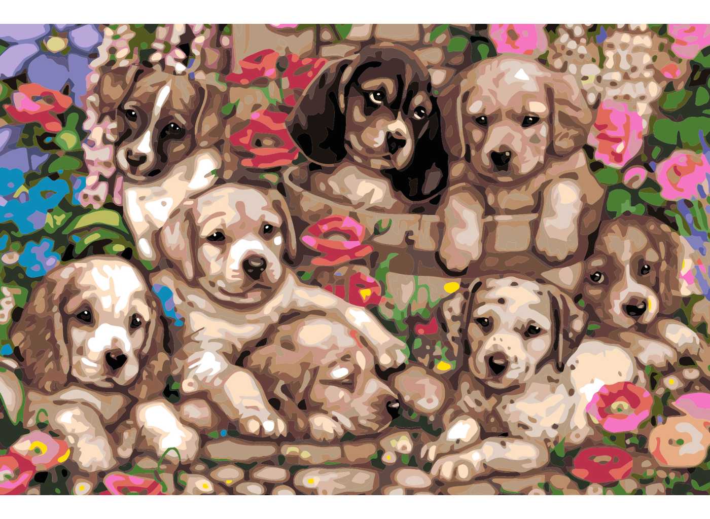 MALUJEŠ Malování podle čísel - ŠTĚŇÁTKA - DEBBIE COOK / IBD LICENSING UK Rozměr: 40x60 cm, Rámování: bez rámu a bez vypnutí plátna