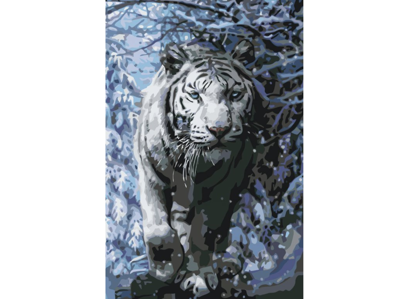 MALUJEŠ Malování podle čísel - AGNIESZKA MLECZEK - MAJESTÁTNÍ BÍLÝ TYGR Rozměr: 60x80 cm, Rámování: bez rámu a bez vypnutí plátna