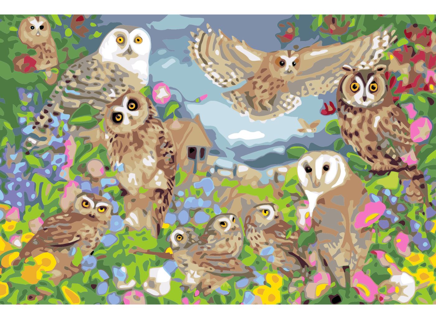 MALUJEŠ Malování podle čísel - SOVY - CLAIRE COMERFORD / IBD LICENSING UK Rozměr: 40x60 cm, Rámování: bez rámu a bez vypnutí plátna