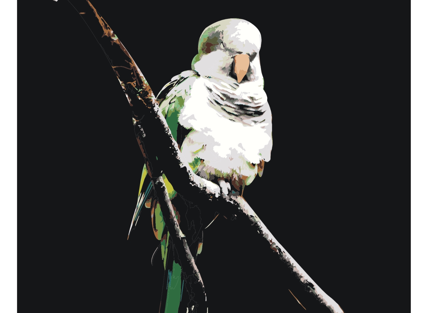 MALUJEŠ Malování podle čísel - OBRAZY OD ELISE - SPÍCÍ PAPOUŠEK Rozměr: 80x100 cm, Rámování: bez rámu a bez vypnutí plátna